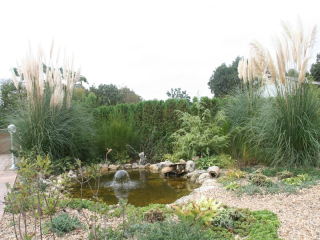 ДЖОЯ ПАРК КОМПЛЕКС - ДЖОЯ ПАРК КОМПЛЕКС